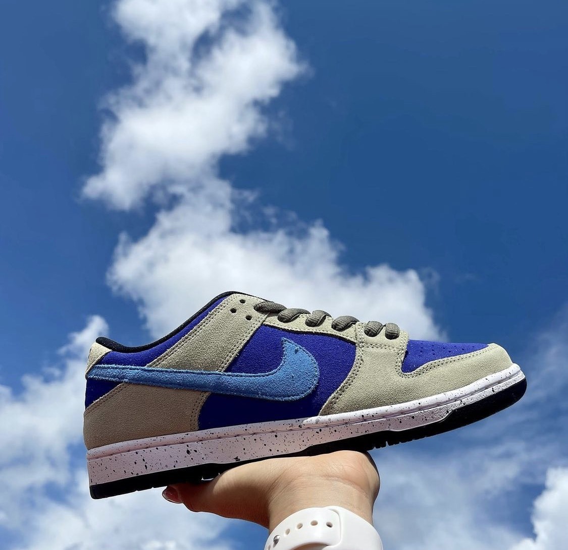 Nike SB Dunk Low Pro 