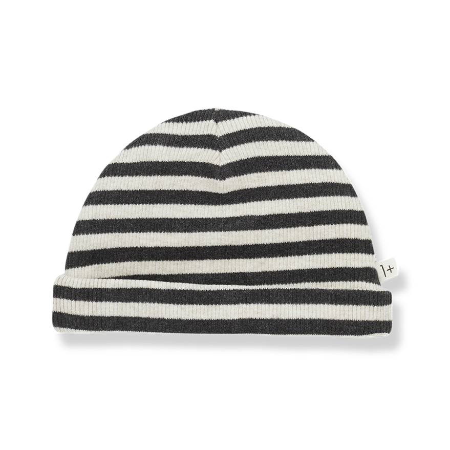 1+ IN THE FAMILY - Sam（Alabaster）