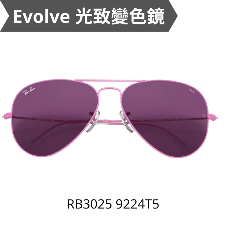 RayBan Aviator Solid Evolve RB3025 9224T5｜RayBan香港授權