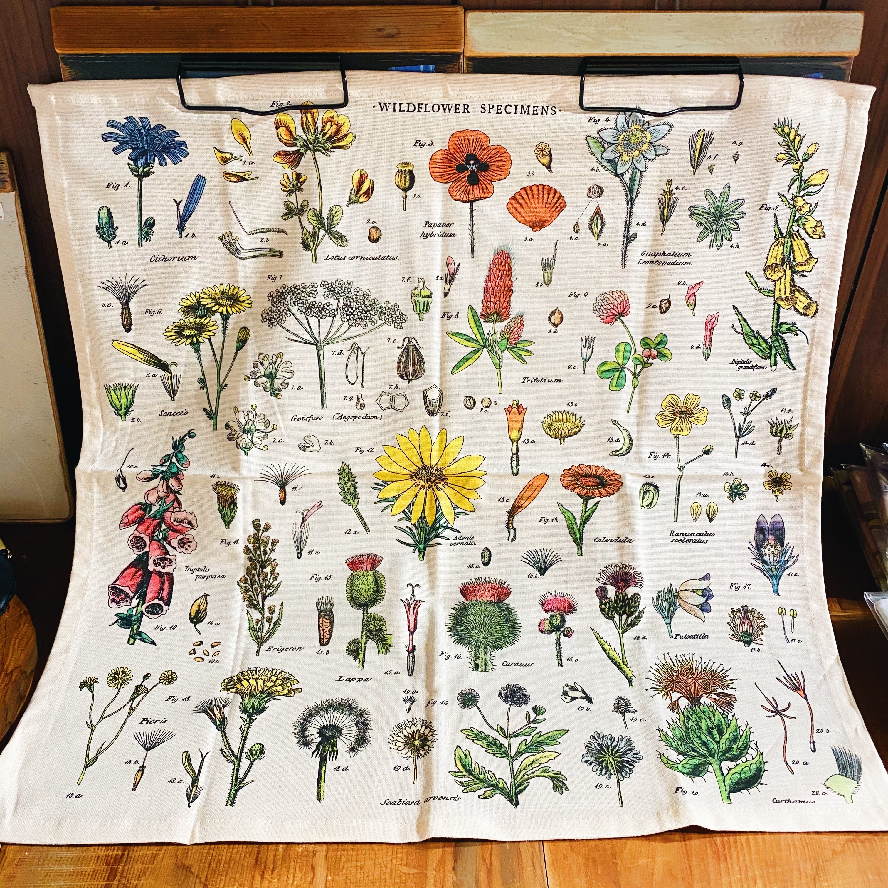 cavallini 餐用方巾 純棉茶巾 野花