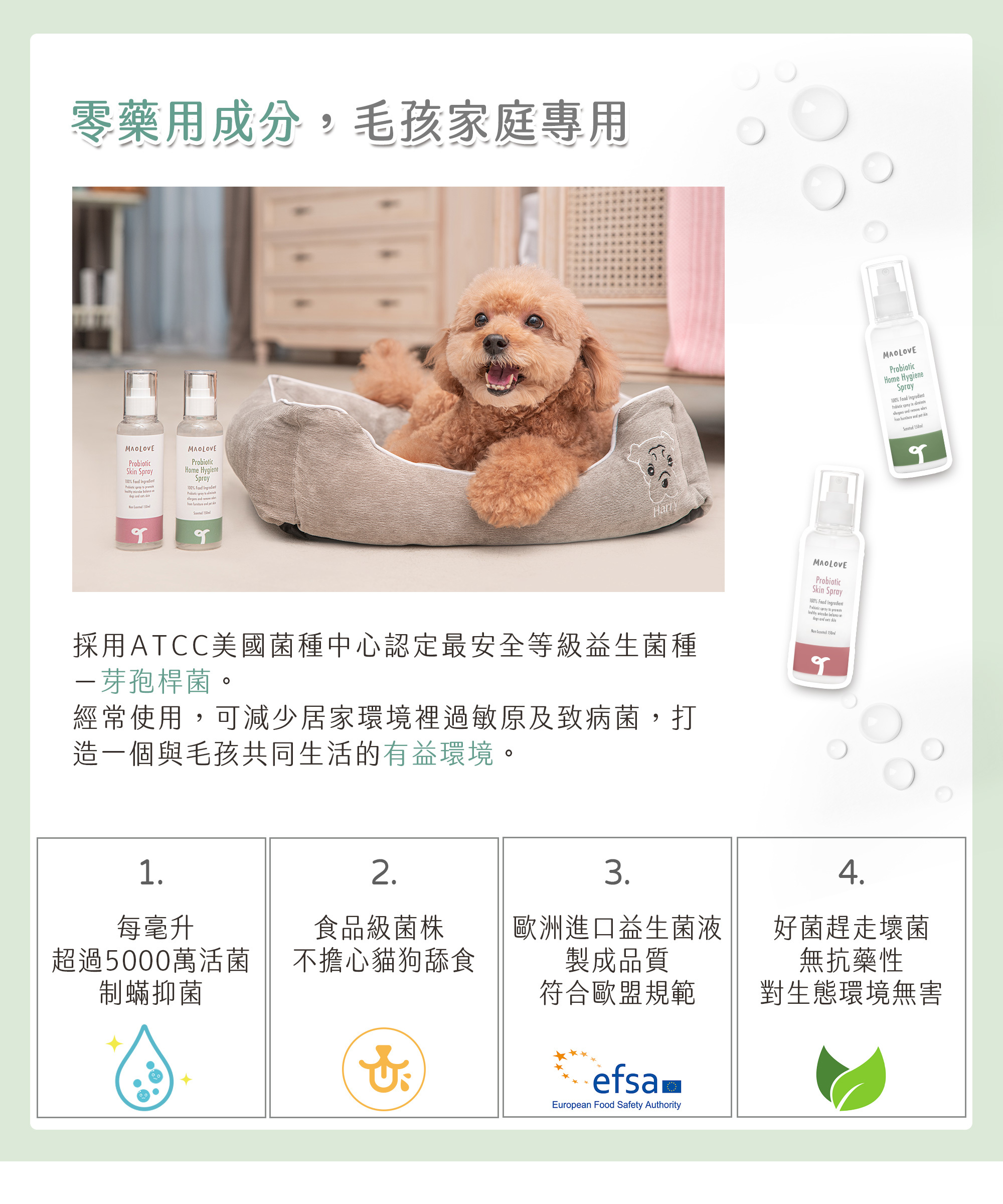 毛樂主意益生菌噴霧介紹-02