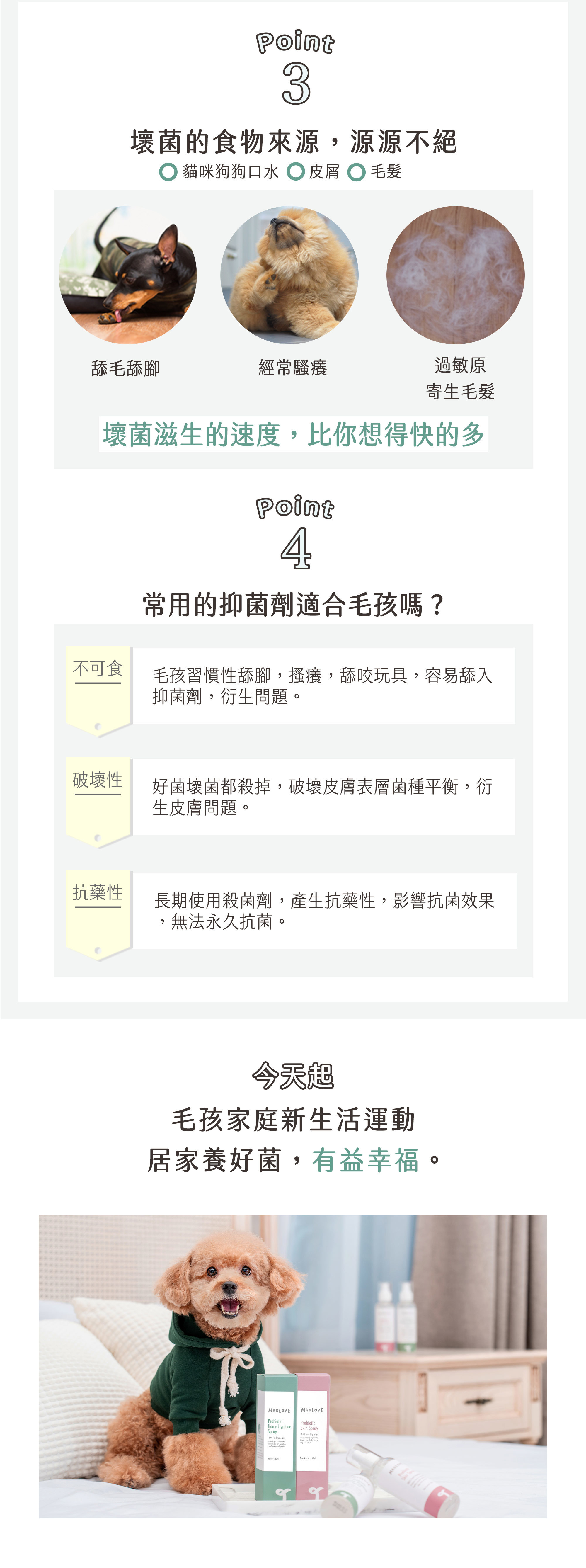 毛樂主意益生菌噴霧介紹-04