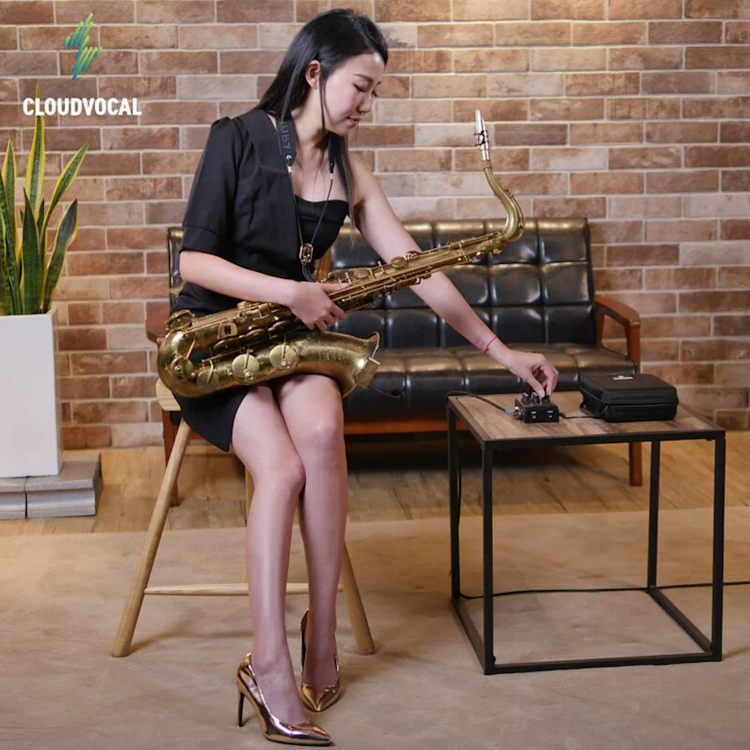 ISOLO ISOLO PRIME 管樂無線演出系統 附贈AR1錄音棒 第 5 張圖片｜三峽銅管 / 管樂