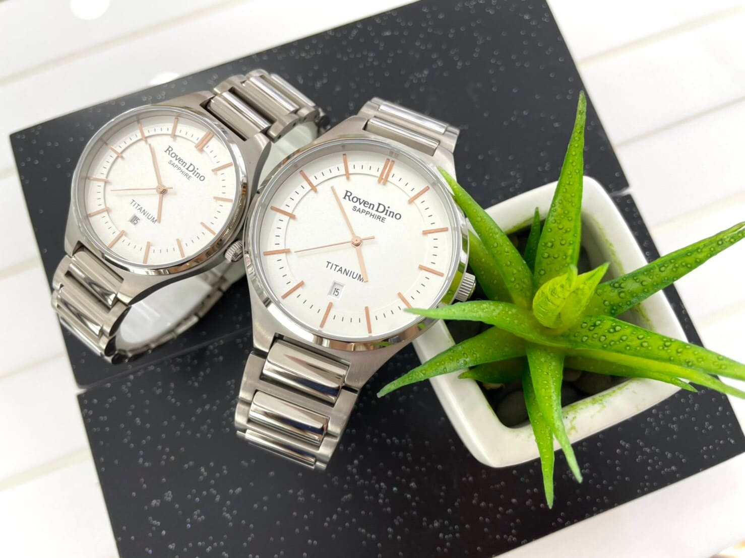 【Roven Dino羅梵迪諾】RD781T1 (43mm) / RD782T1 (35mm) 現代鐘錶