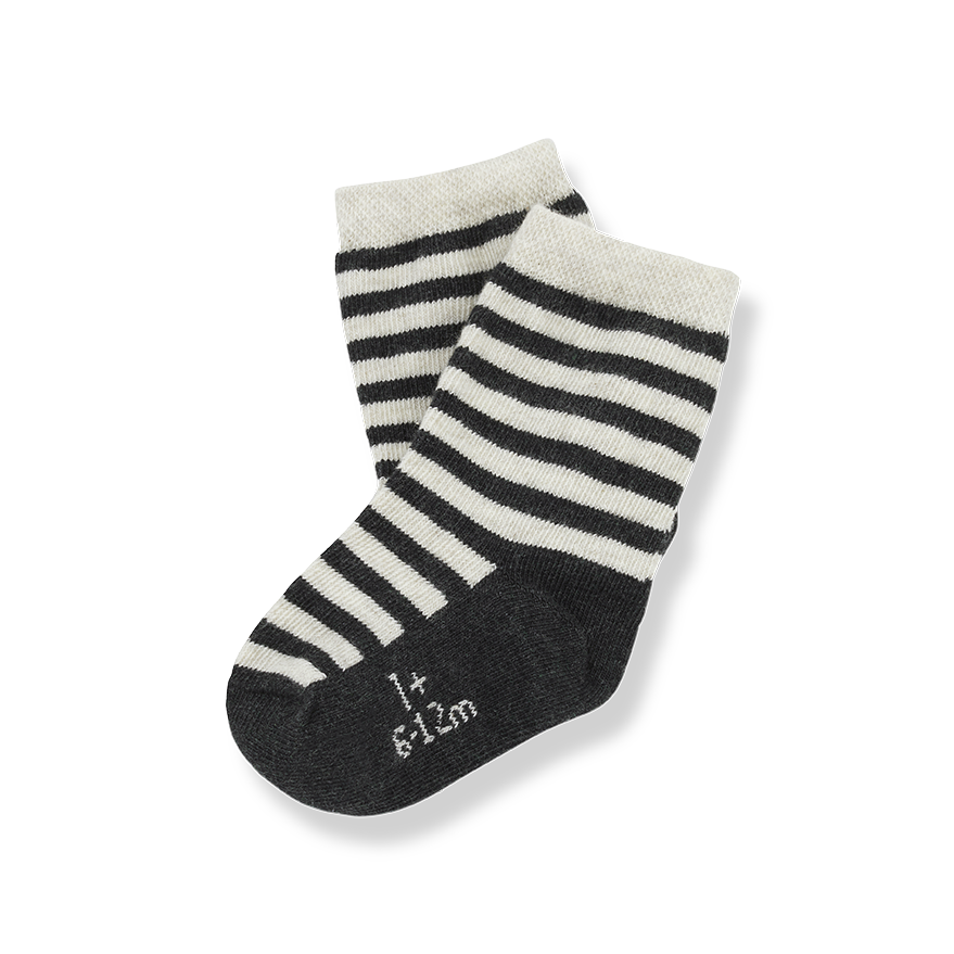 1+ IN THE FAMILY - Aniol（Alabaster）