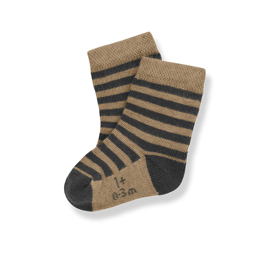 1+ IN THE FAMILY - Aniol（Brandy）