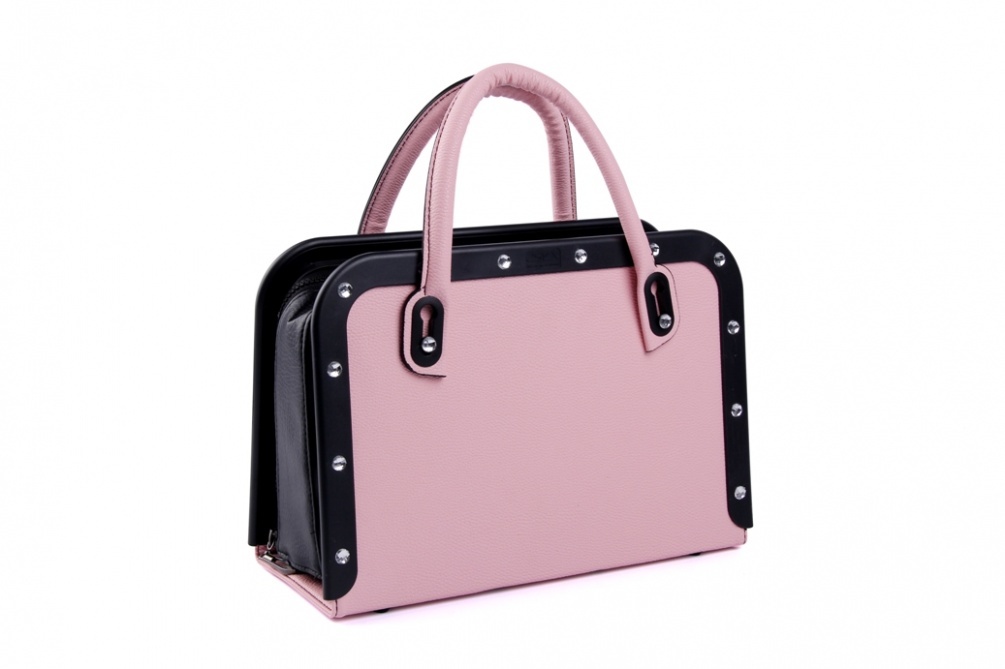 Z-Sex 性愛機器X5帶手提包 （4種顏色）