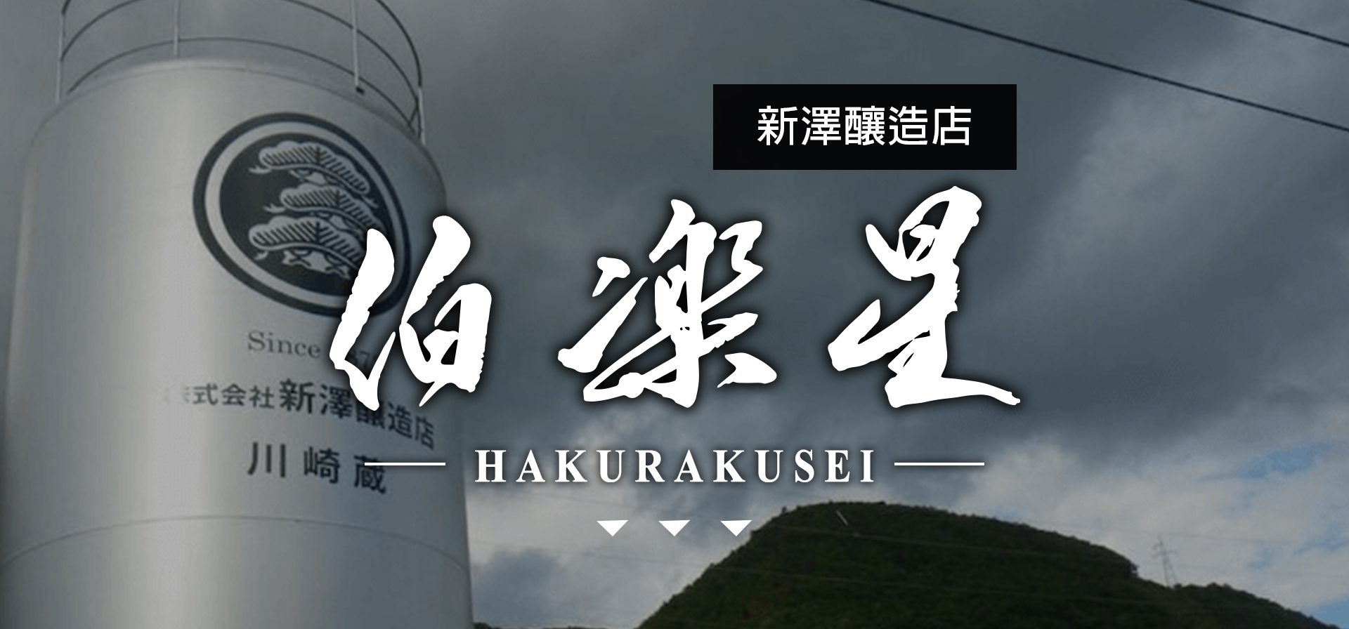 伯樂星HAKURAKUSEI|AMALL清酒專門店|SAKE|日本酒|酒