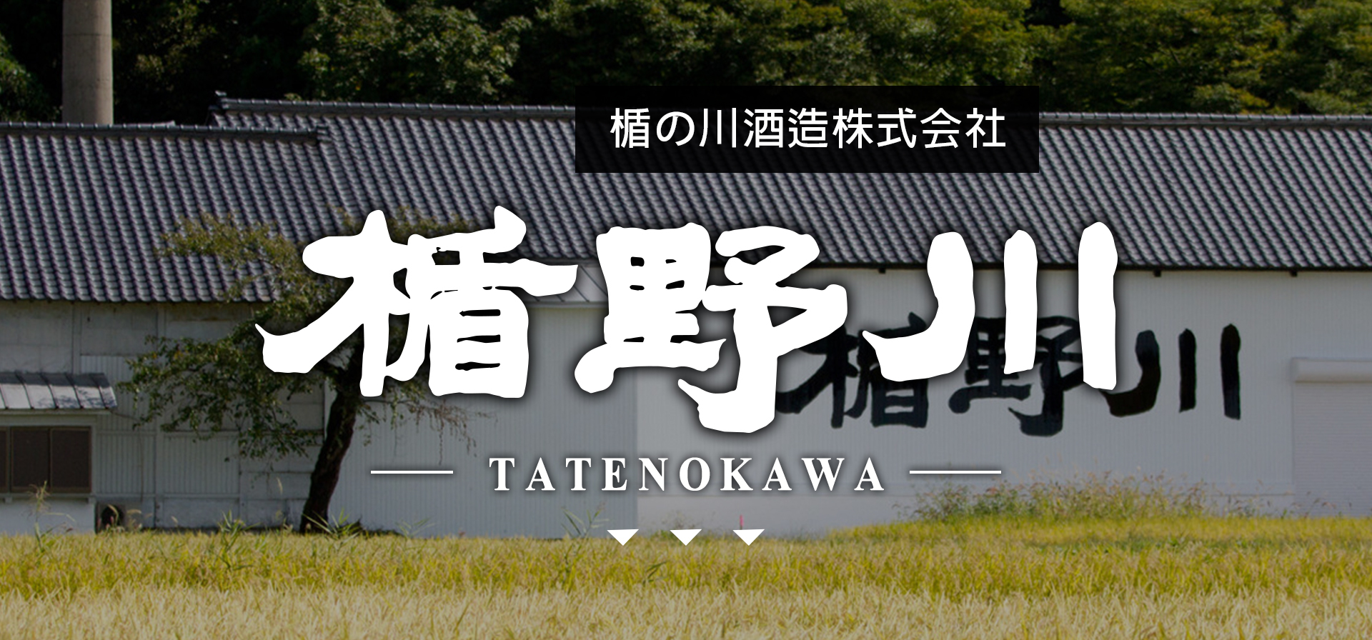 楯野川TATENOKAWA|AMALL清酒專門店|SAKE|日本酒|酒