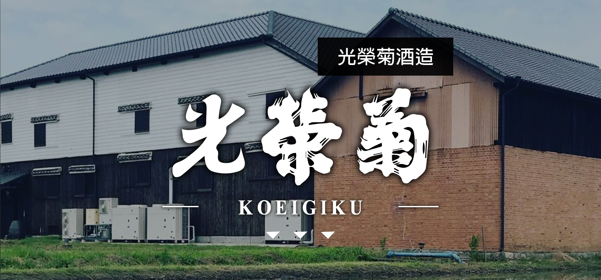 光榮菊KOEIGIKU|AMALL清酒專門店|SAKE|日本酒|酒