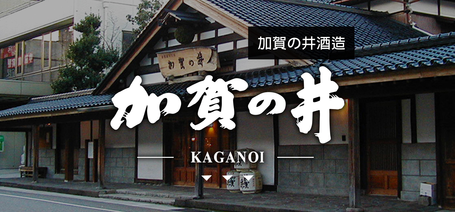 加賀の井KAGANOI|AMALL清酒專門店|SAKE|日本酒|酒