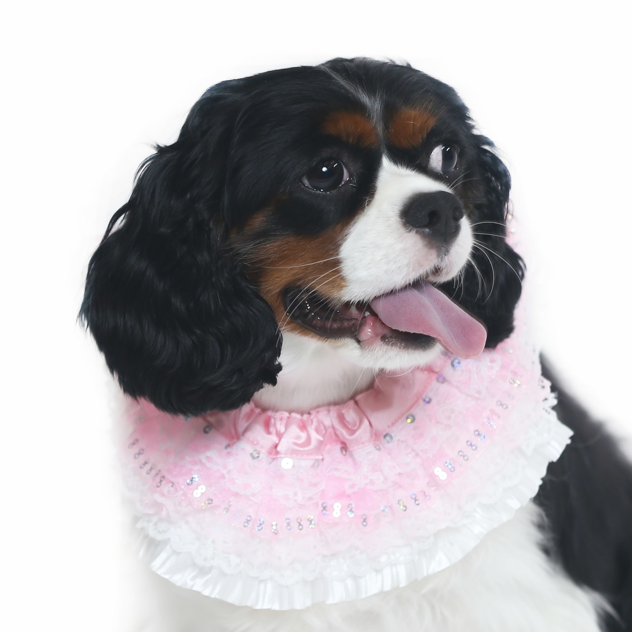 Sequin with Pink Lace Collar