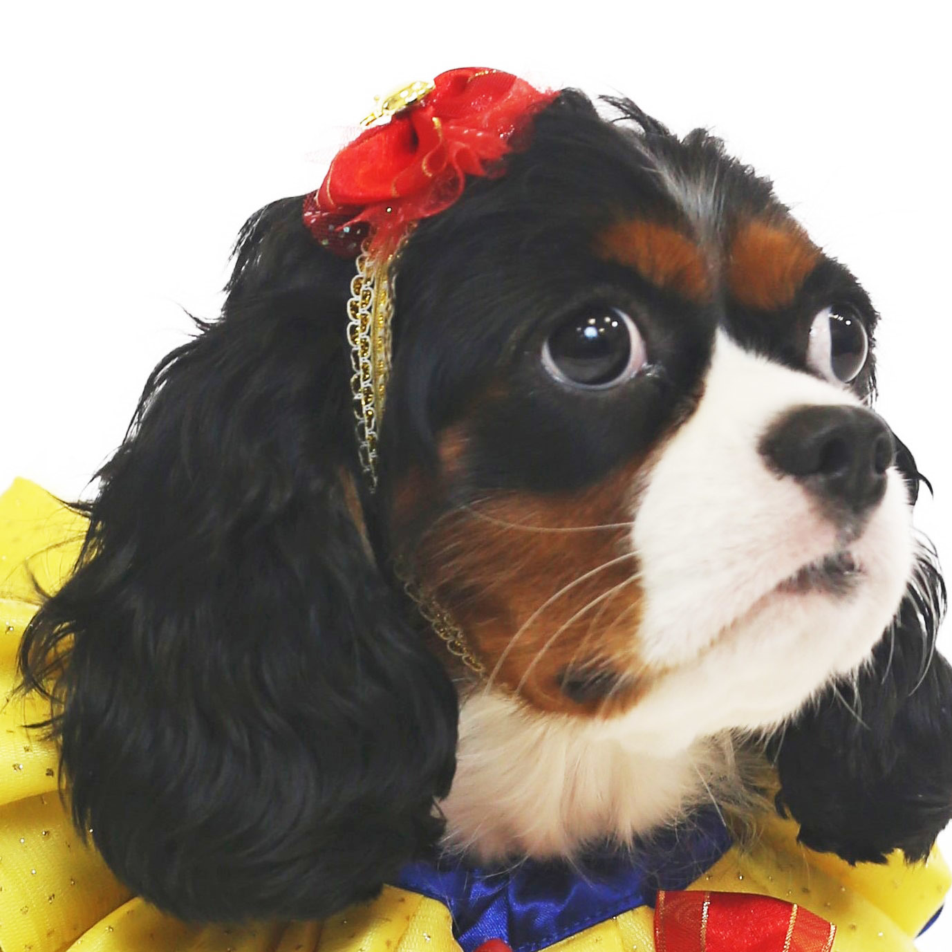 Apple Princess Headband