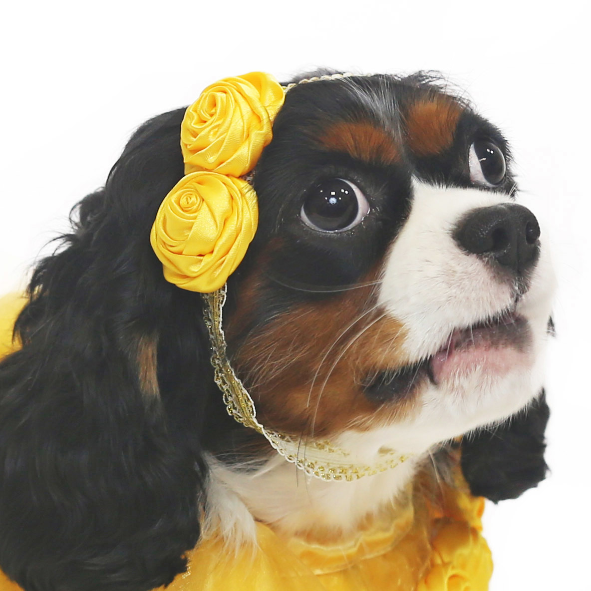 Yellow Rosy Princess Headband