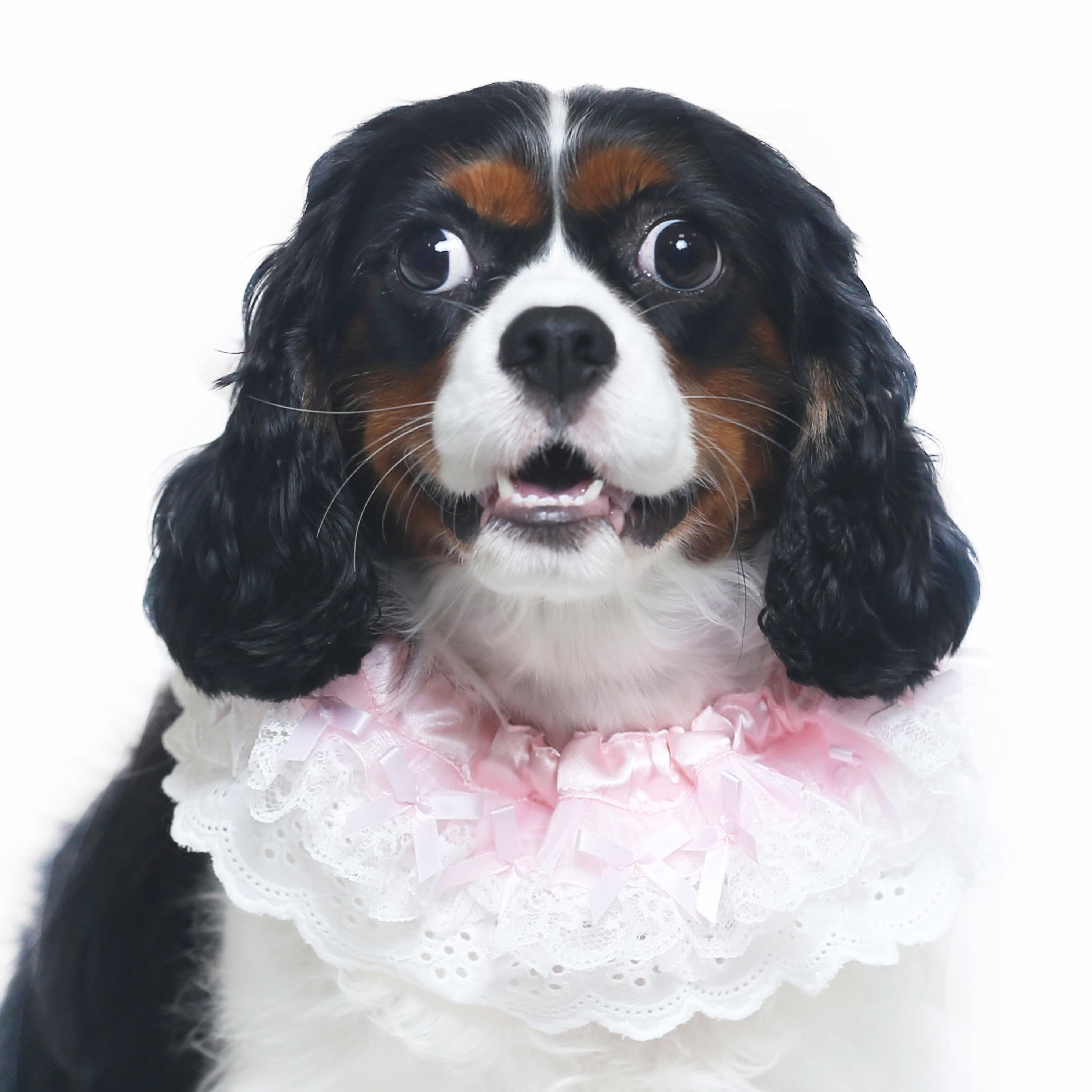 *Wholesale Only* Pink Bow Lace Collar