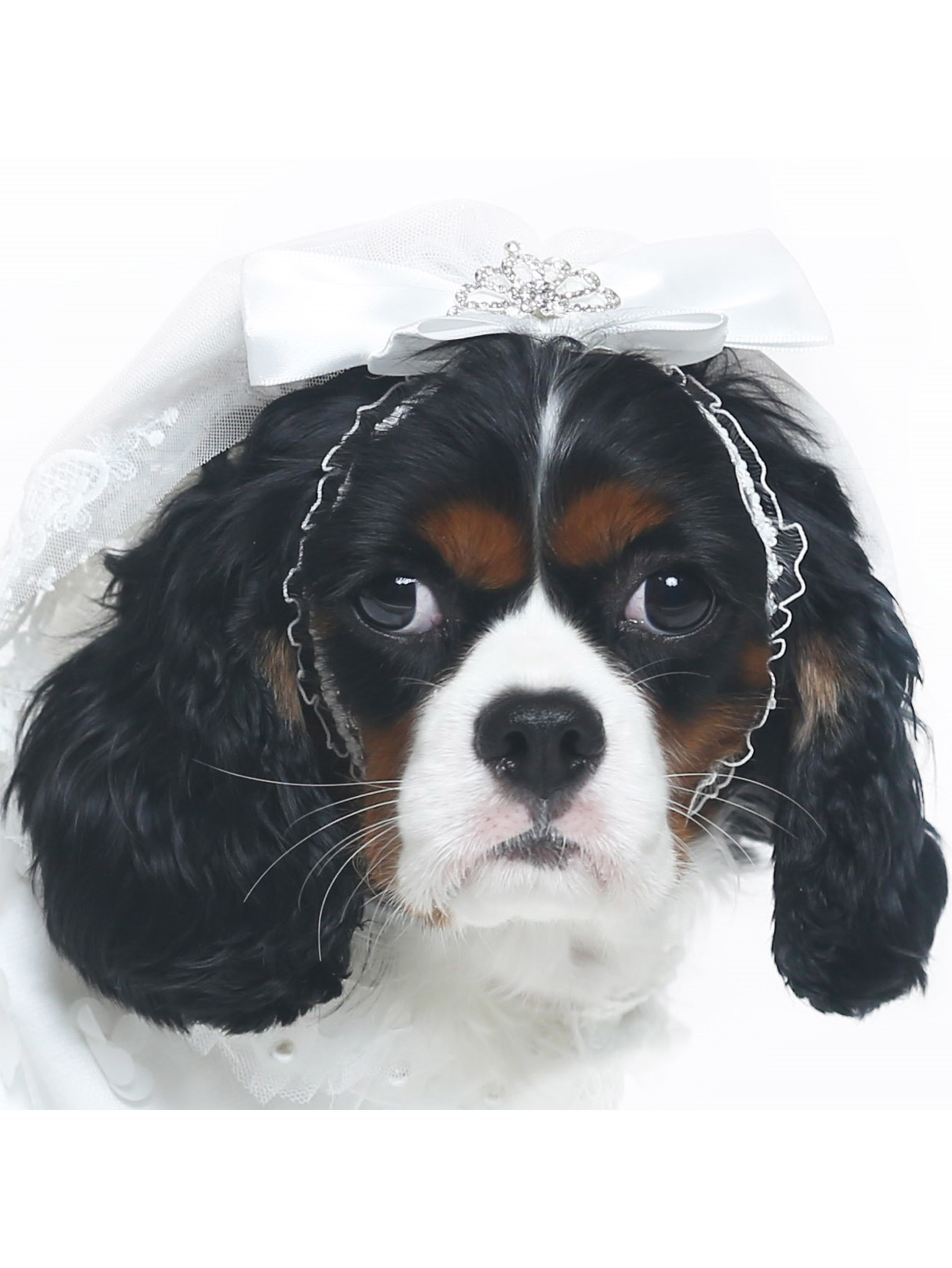 Classic Short Bridal Lace Veil