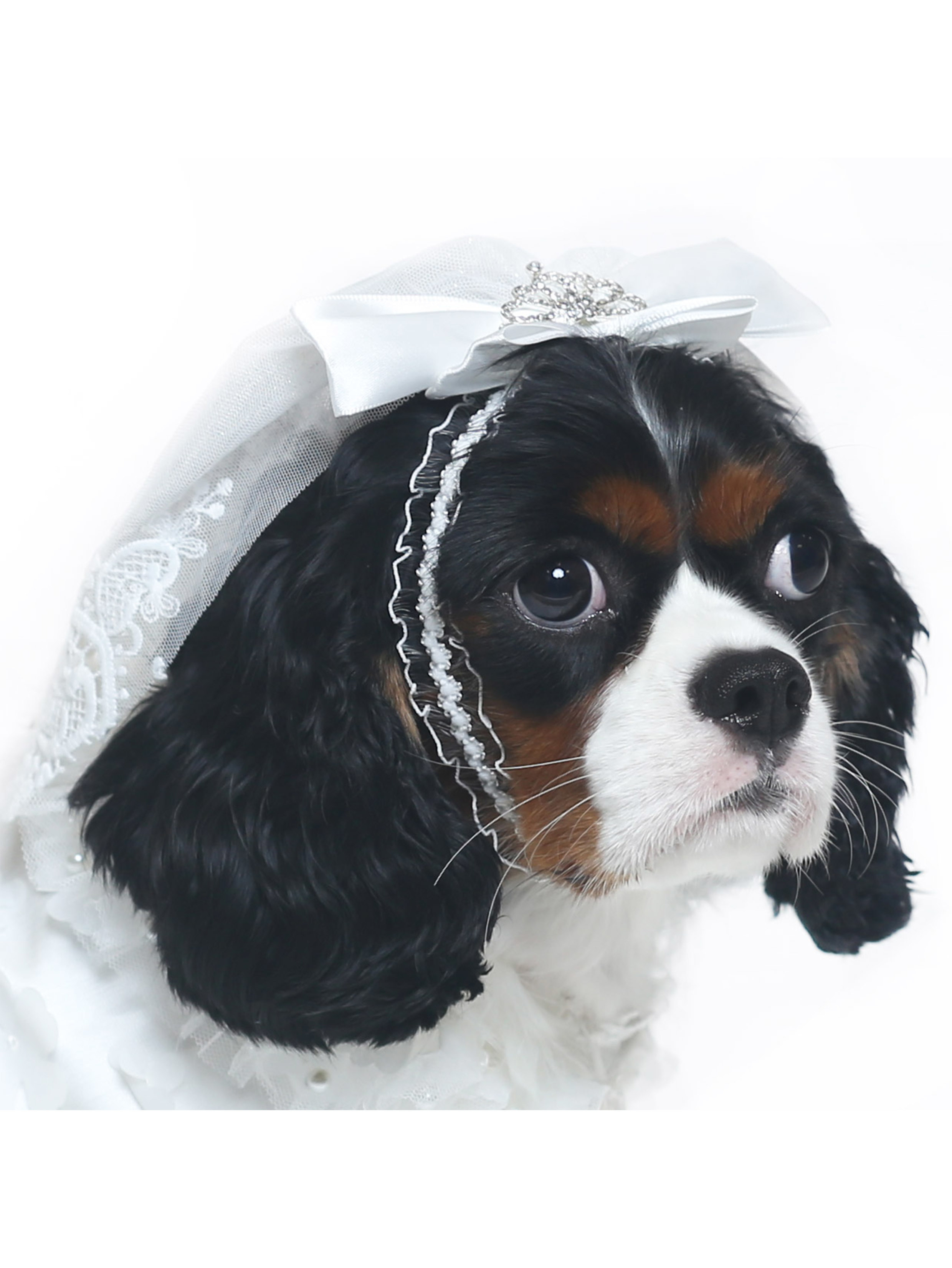 Classic Short Bridal Lace Veil