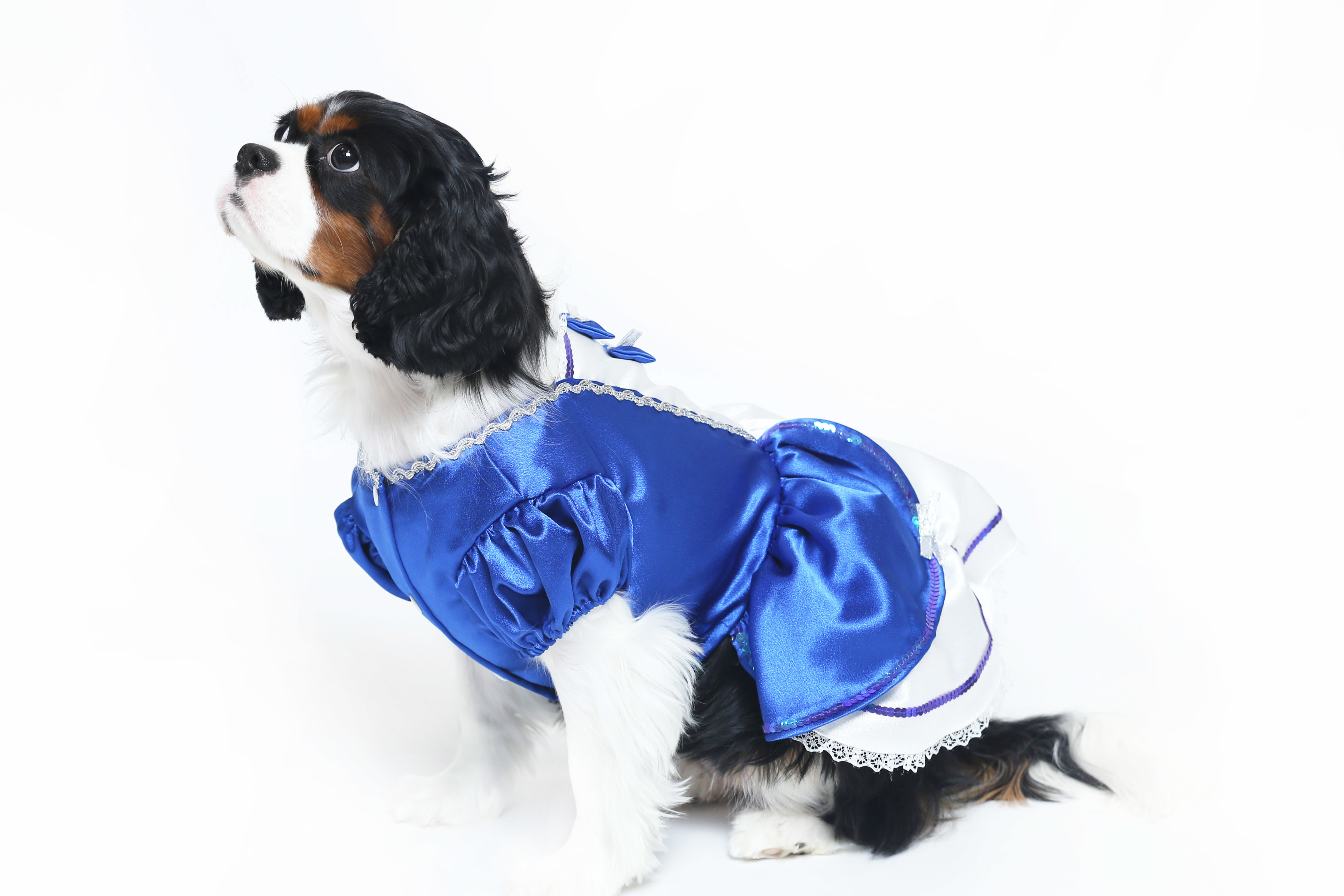 Royal Blue Princess Dress