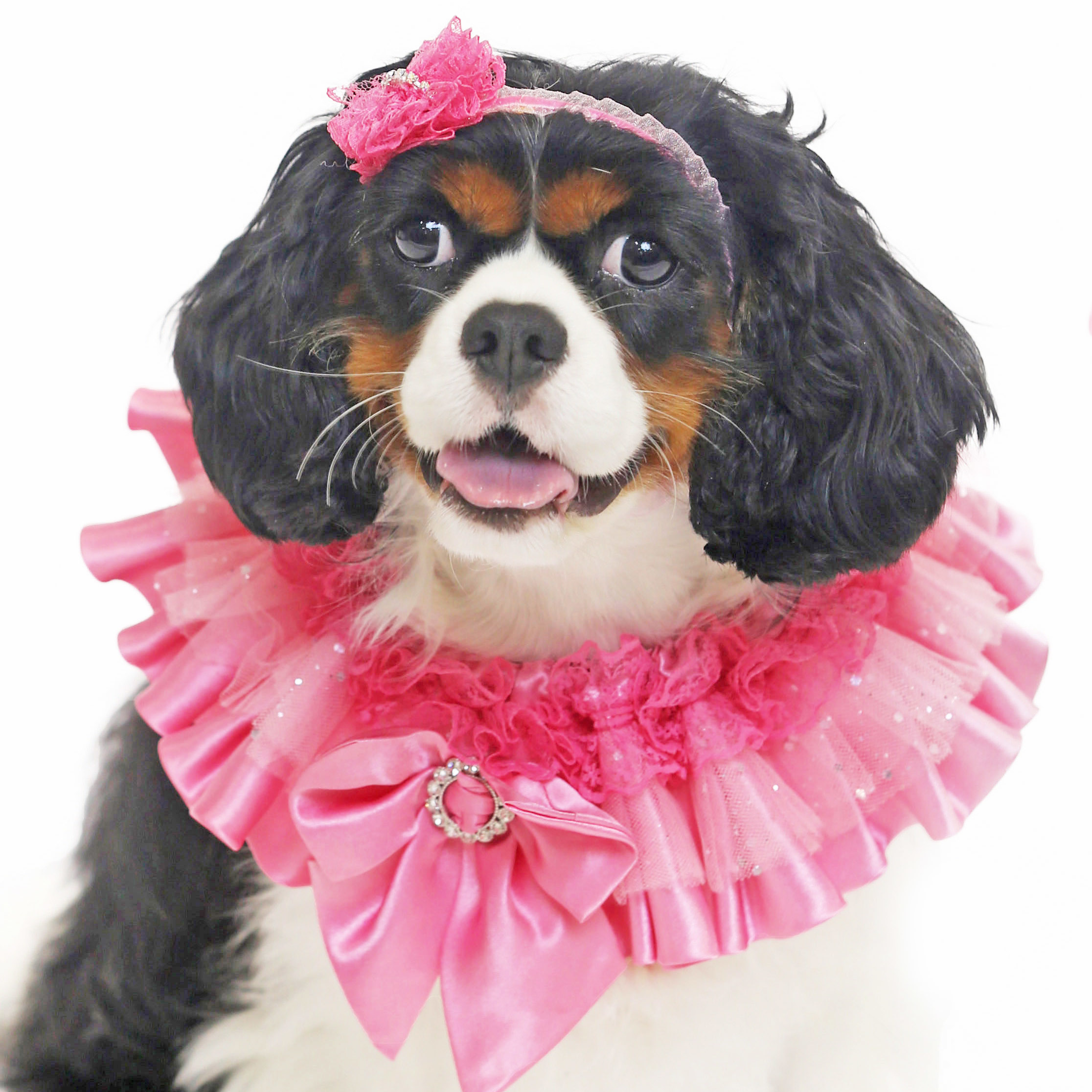 Pink Princess Collar