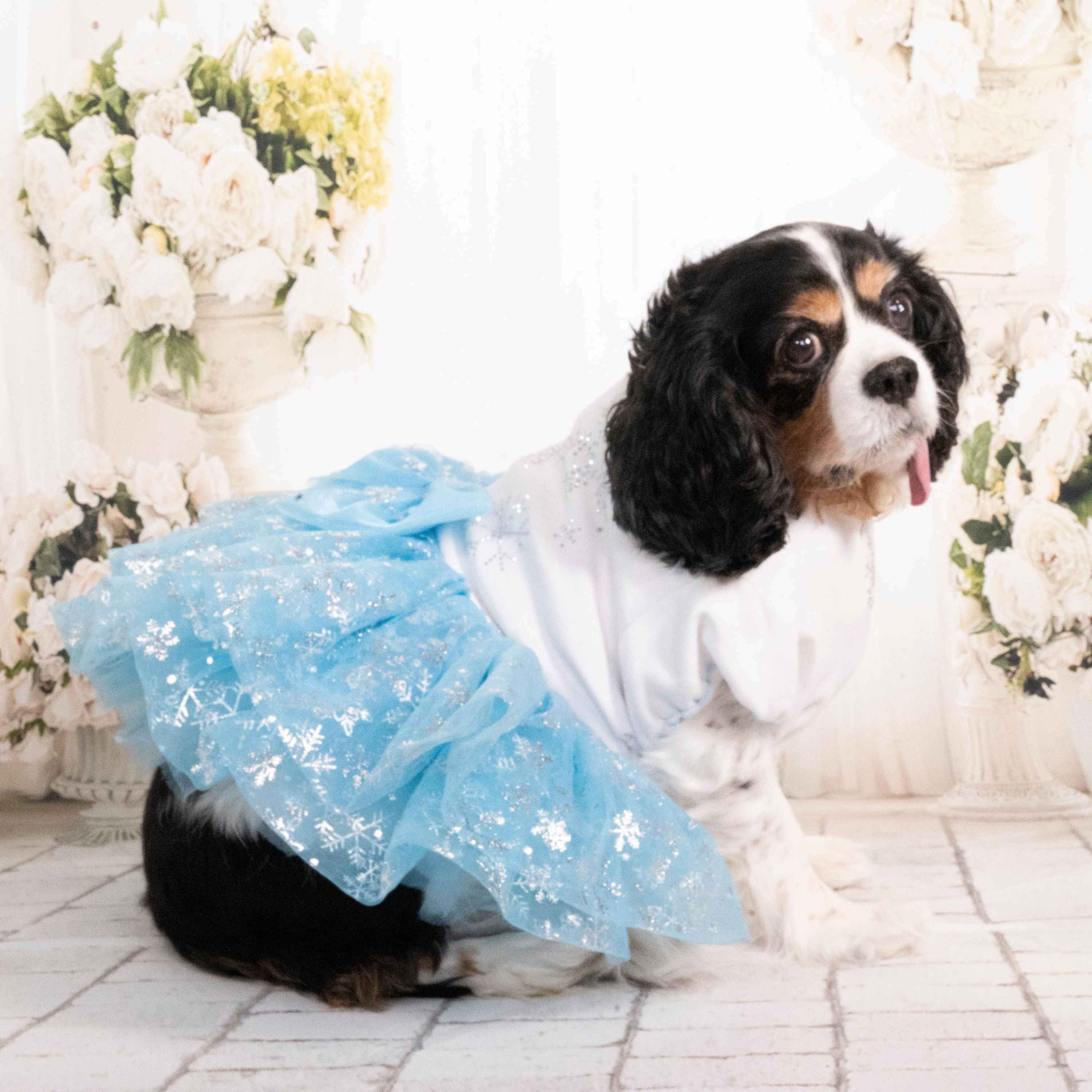 light blue snowflake dress