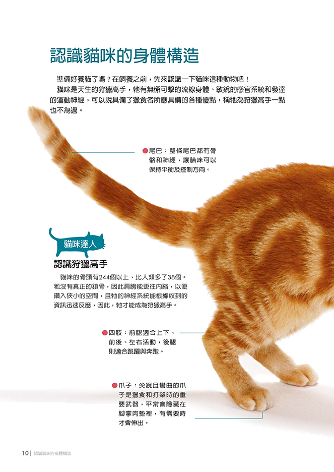 [任選五本$999] 寵物誌系列 : 小貓咪的疑問