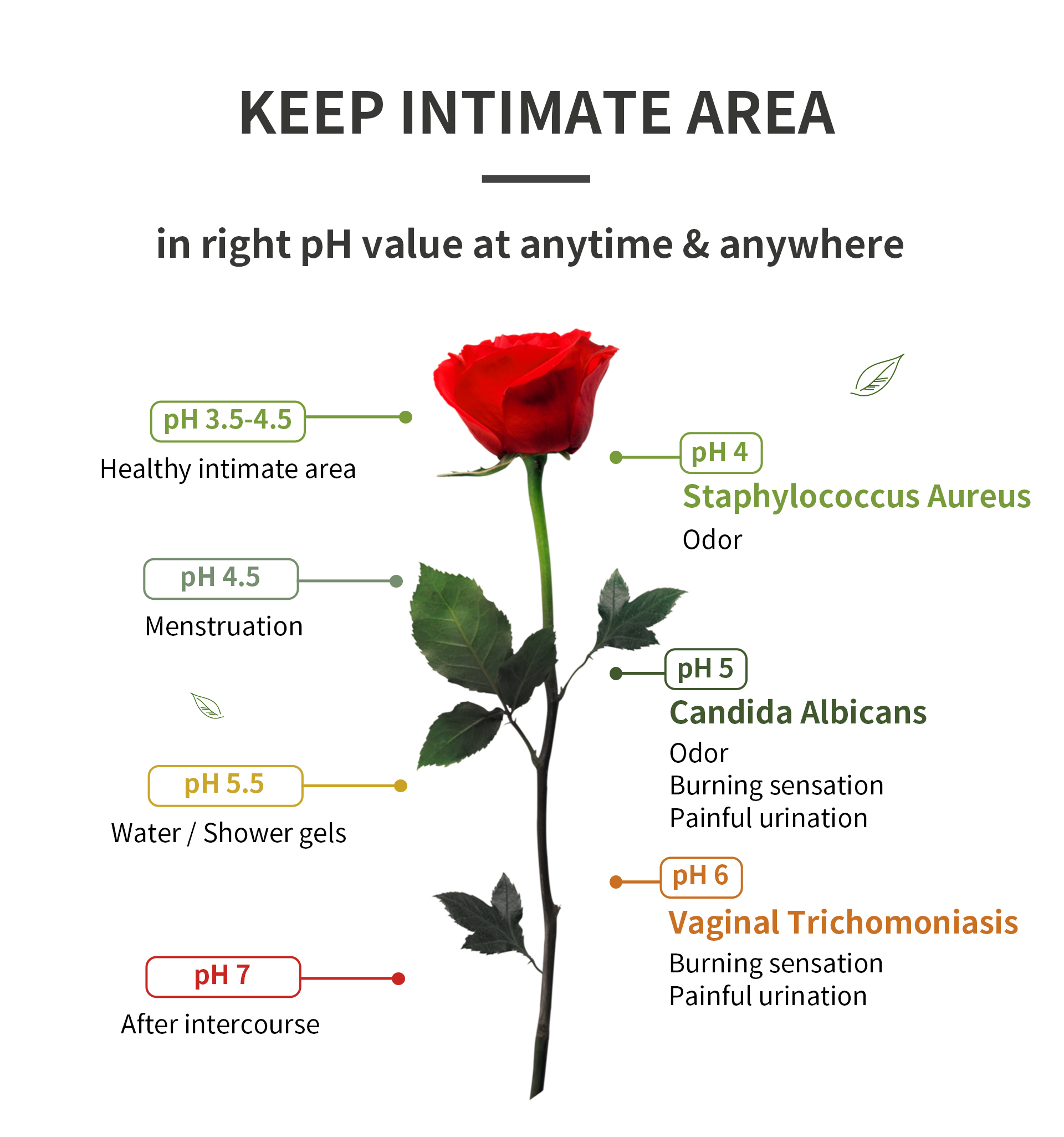 HH Antibacterial Feminine Wash