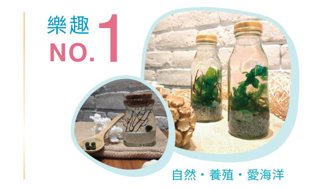 DIY seaweed 藻樂樂