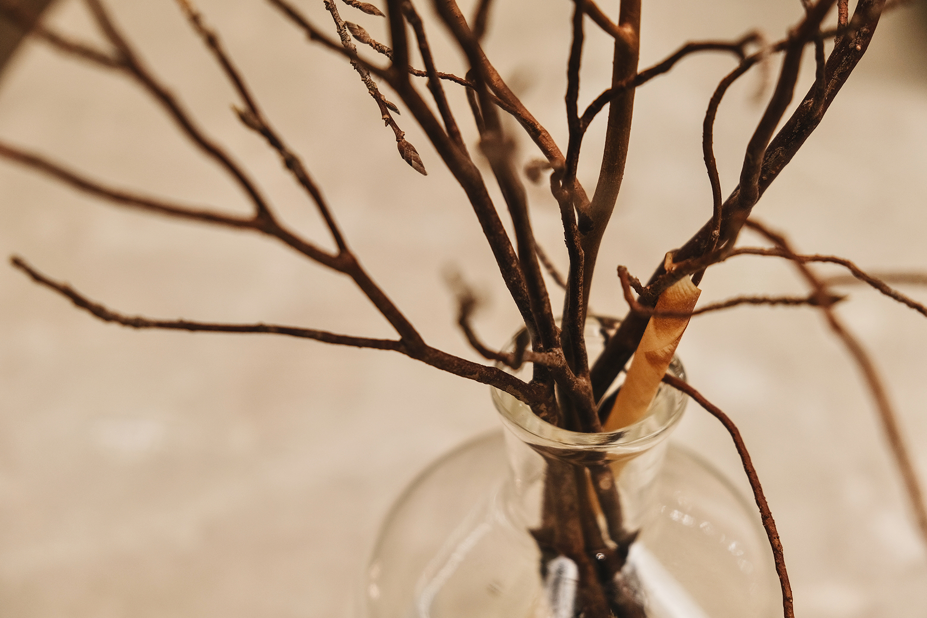 森林擴香禮盒組-日本山茶花ビンとリード (Himeshara)