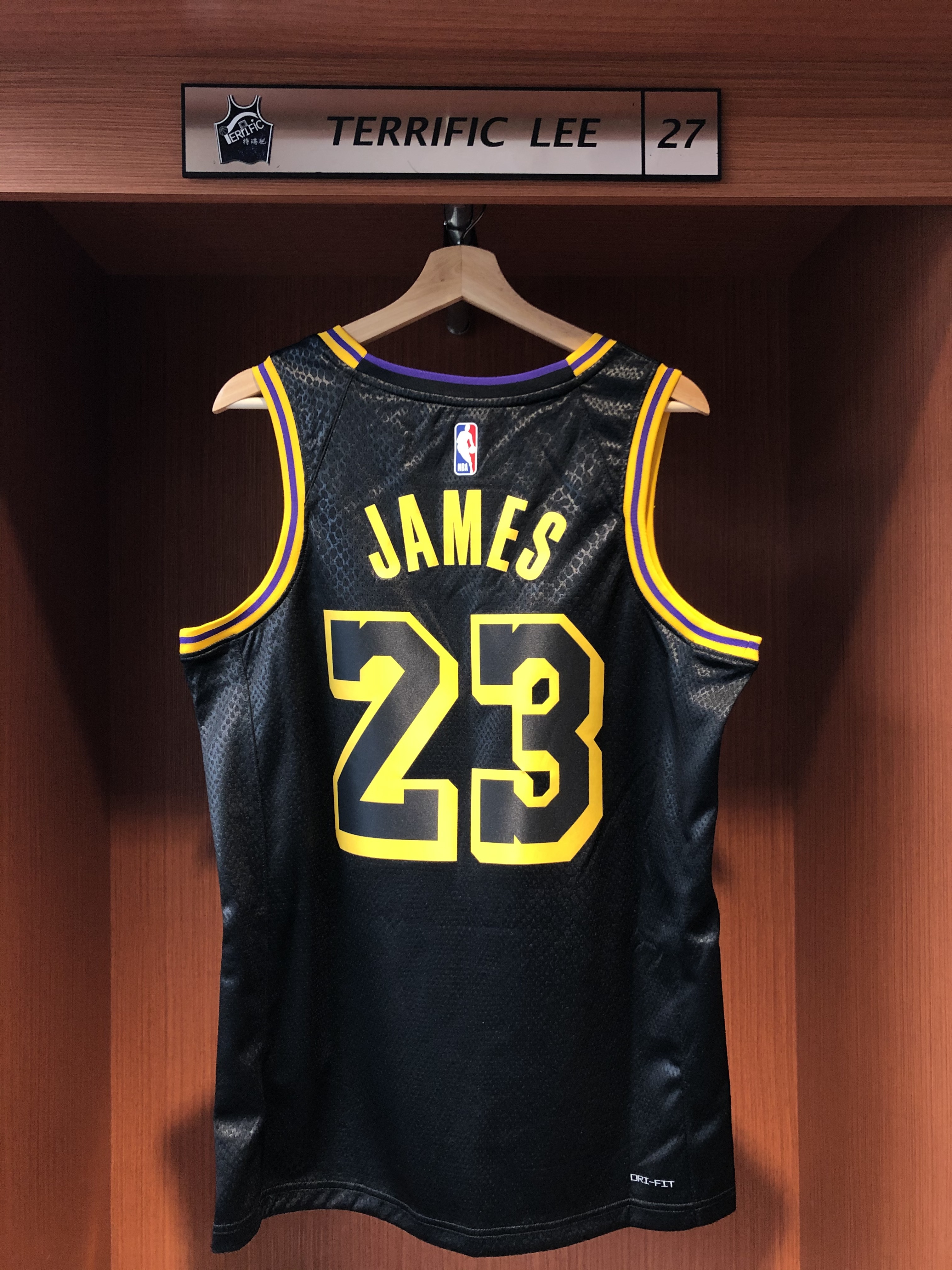 NBA球衣 Lebron James 洛杉磯湖人城市 蛇紋 17-18城市 City Nike Swingman 球迷版 熱轉印 全新