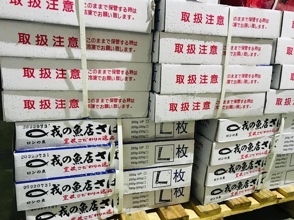 挪威 薄鹽鯖魚 L