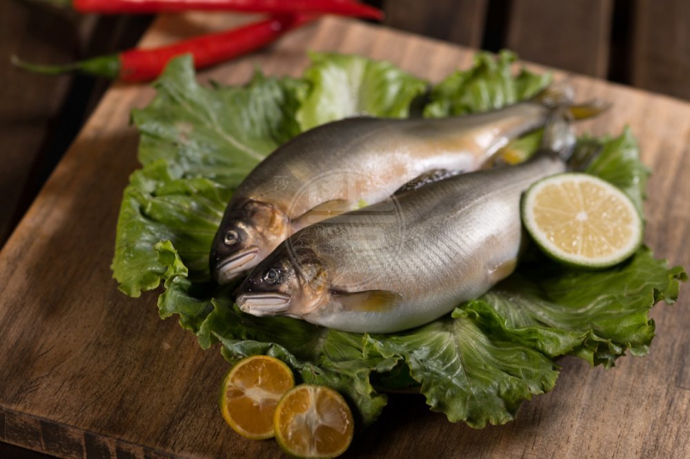 宜蘭帶卵大母香魚