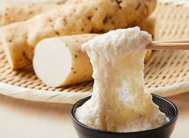 德華水產|やまといも 大和芋 ( 300500G/個)