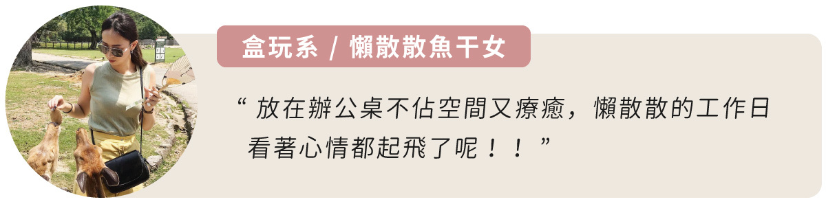 小物收藏,展示範例3