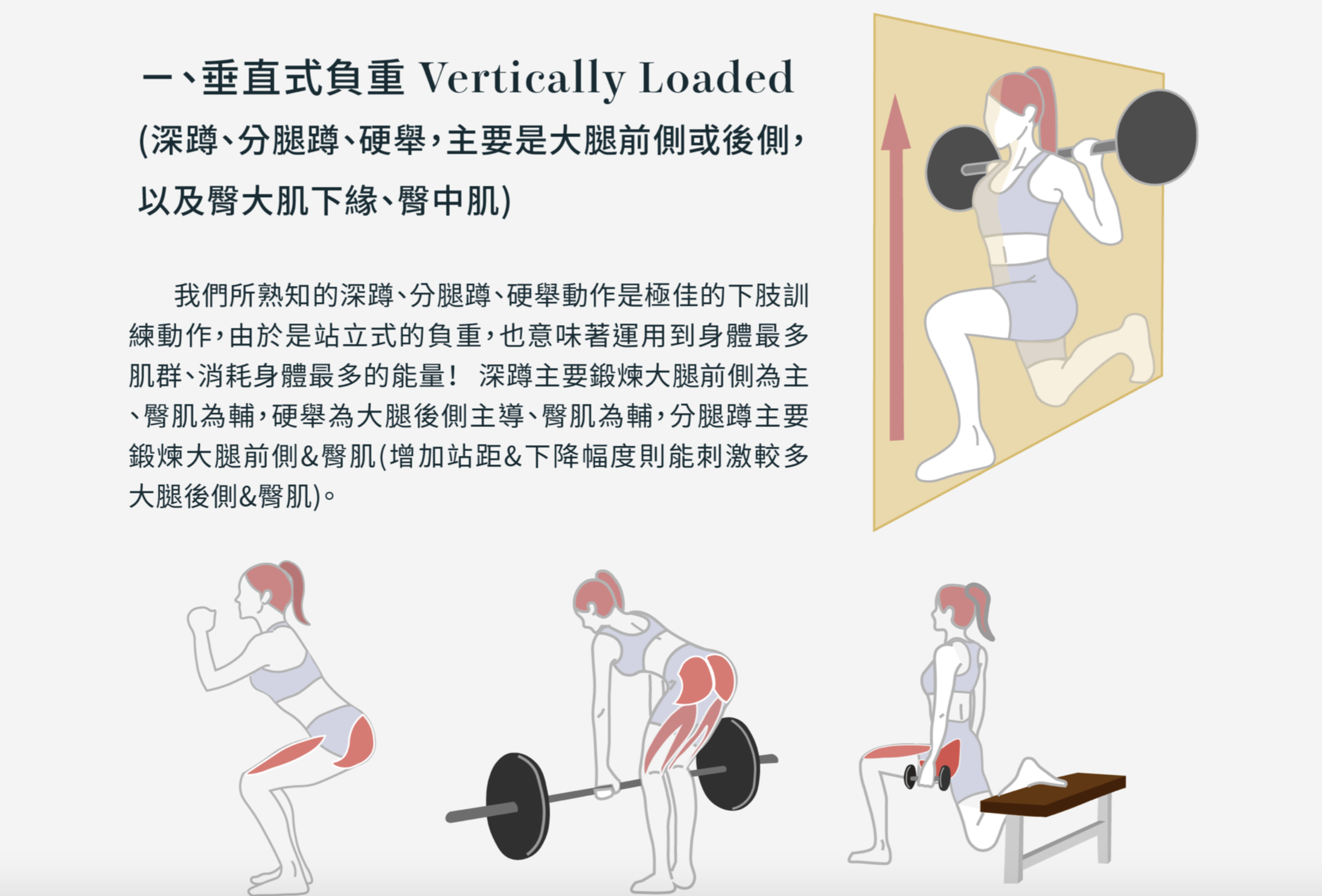 居家美臀電子書