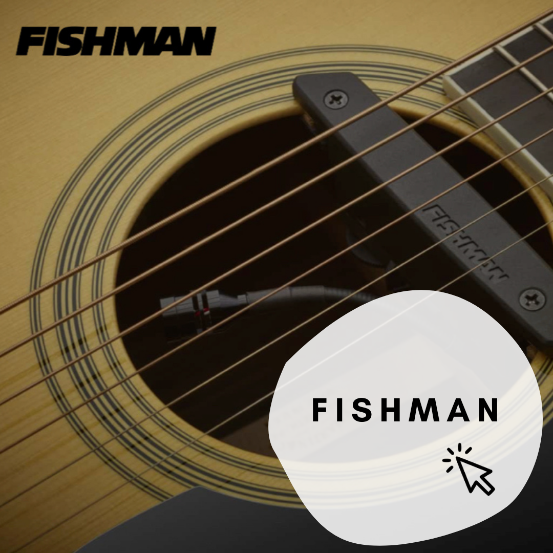 fishman pickup system