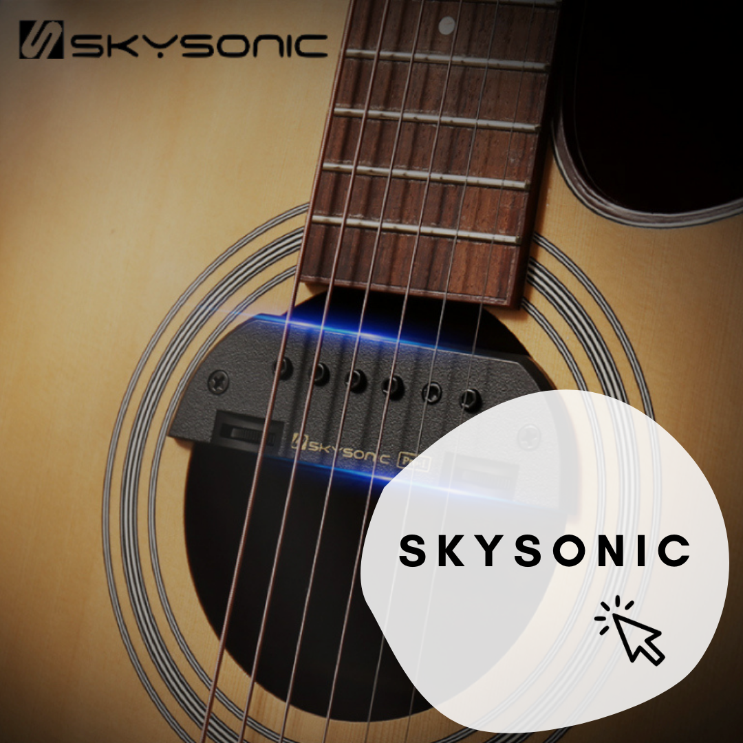 skysonic pickup system