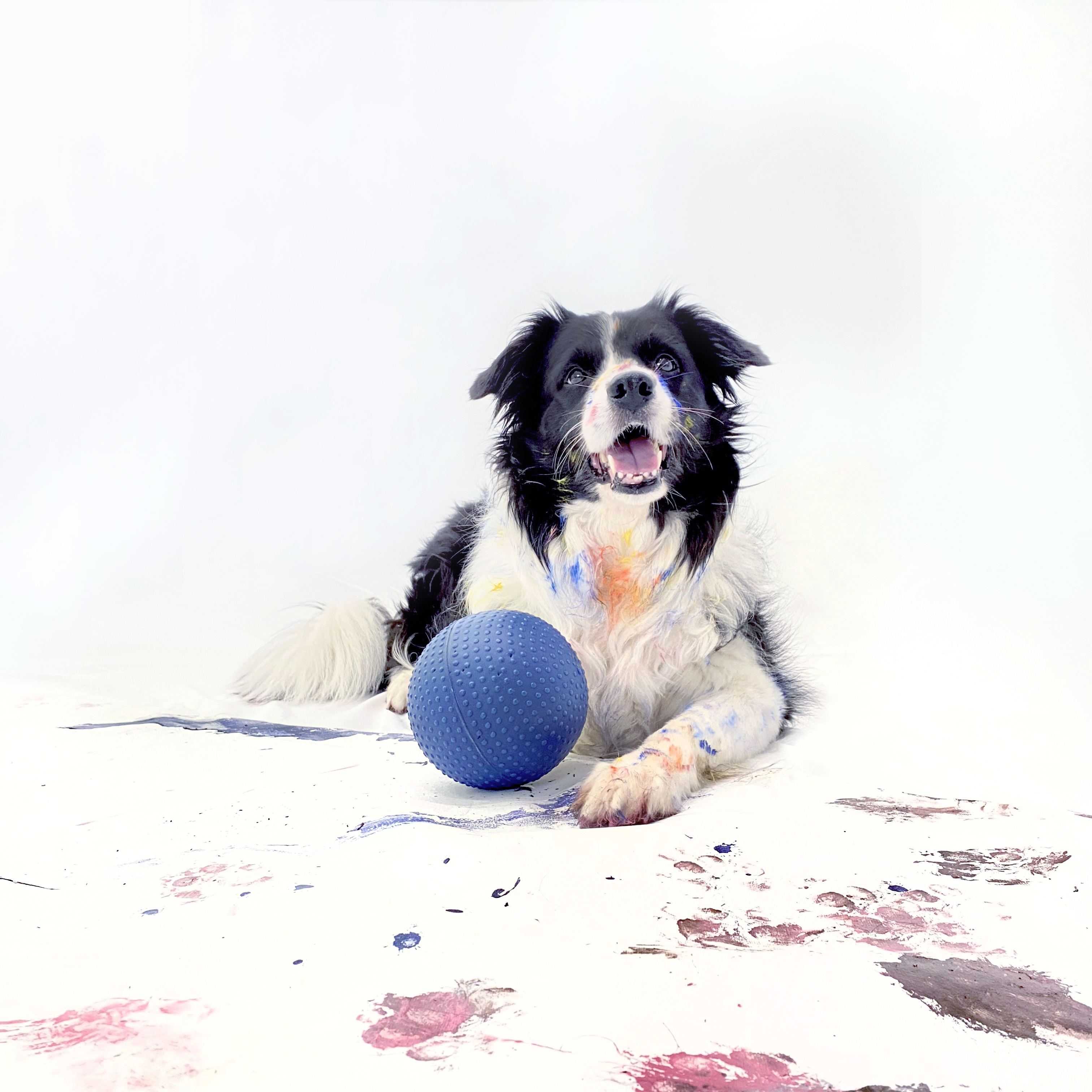 中大犬咬力球 - Delead