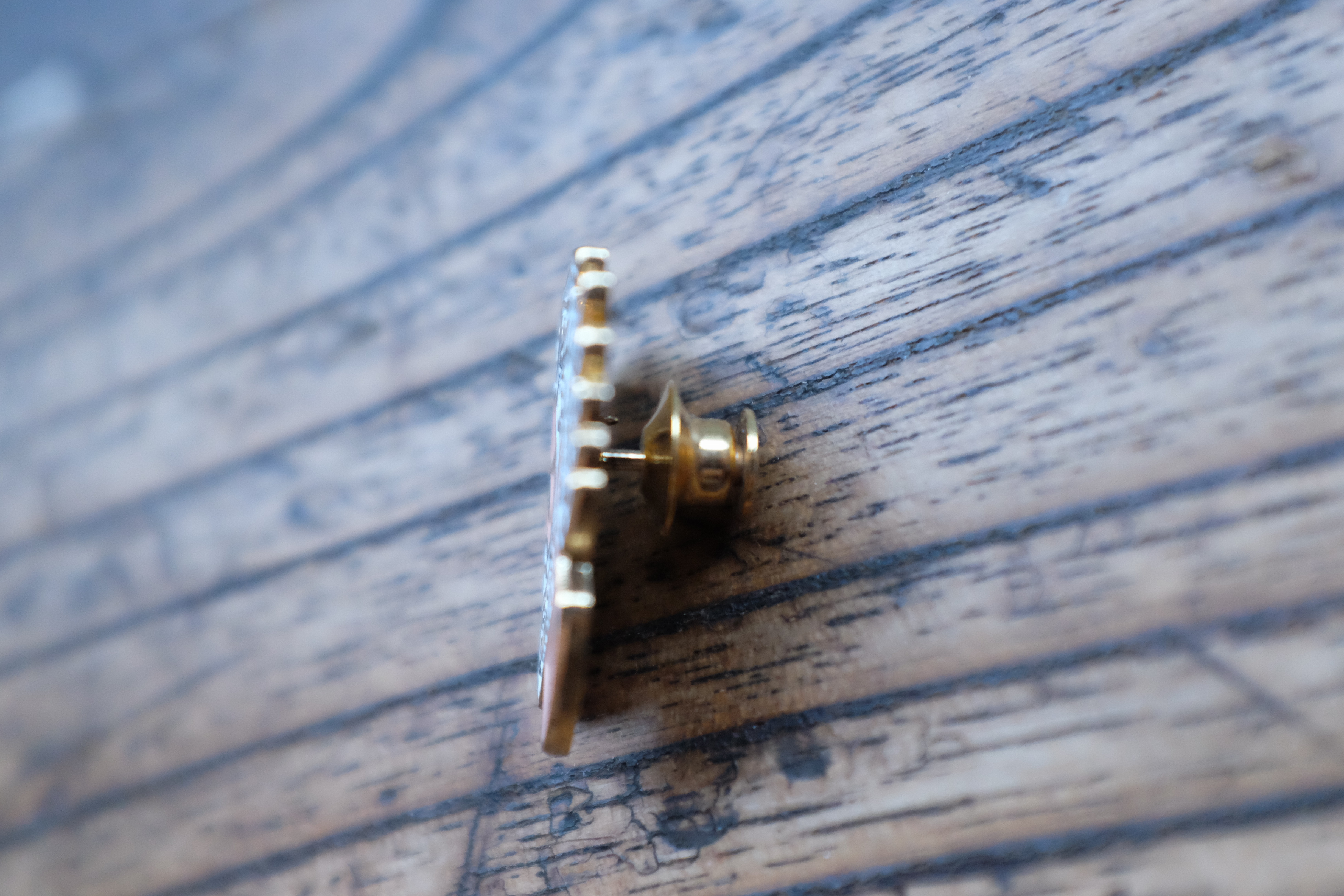 Pin THEDI LEATHERS / White hair