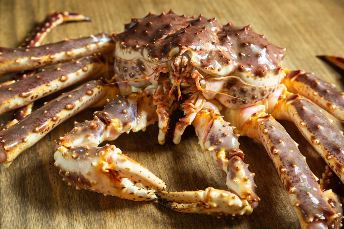 活體帝王蟹請私訊報價（活體冷藏宅配）