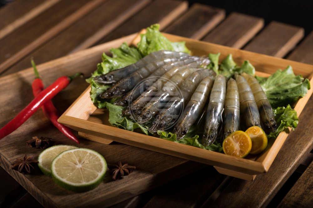 頂級活凍藍鑽蝦