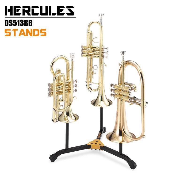 小號架/短號架/富魯格號架 三合一架 DS513BB HERCULES(海克力斯) 附袋