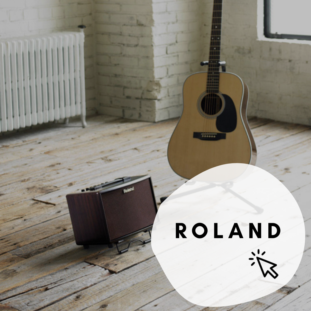 Roland amp and pa systems