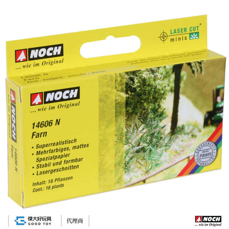 Noch 14606 (N) 蕨類植物 (18入)
