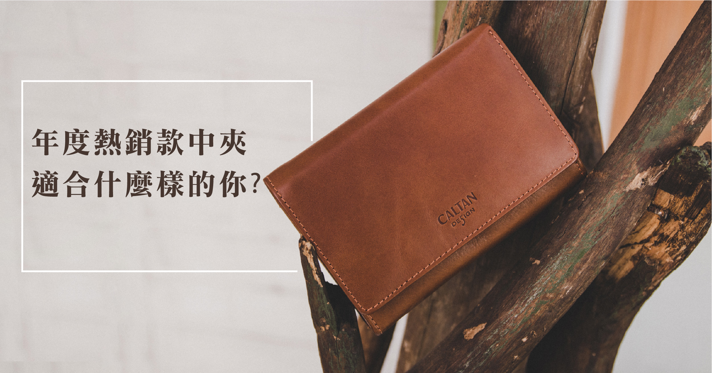 真皮中夾在樹枝上