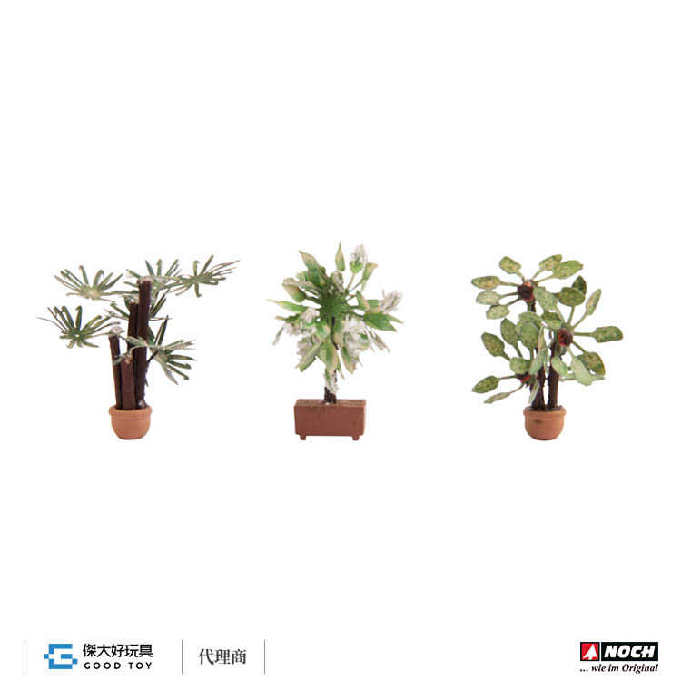 Noch 14023 (HO) 地中海植栽 (3入)