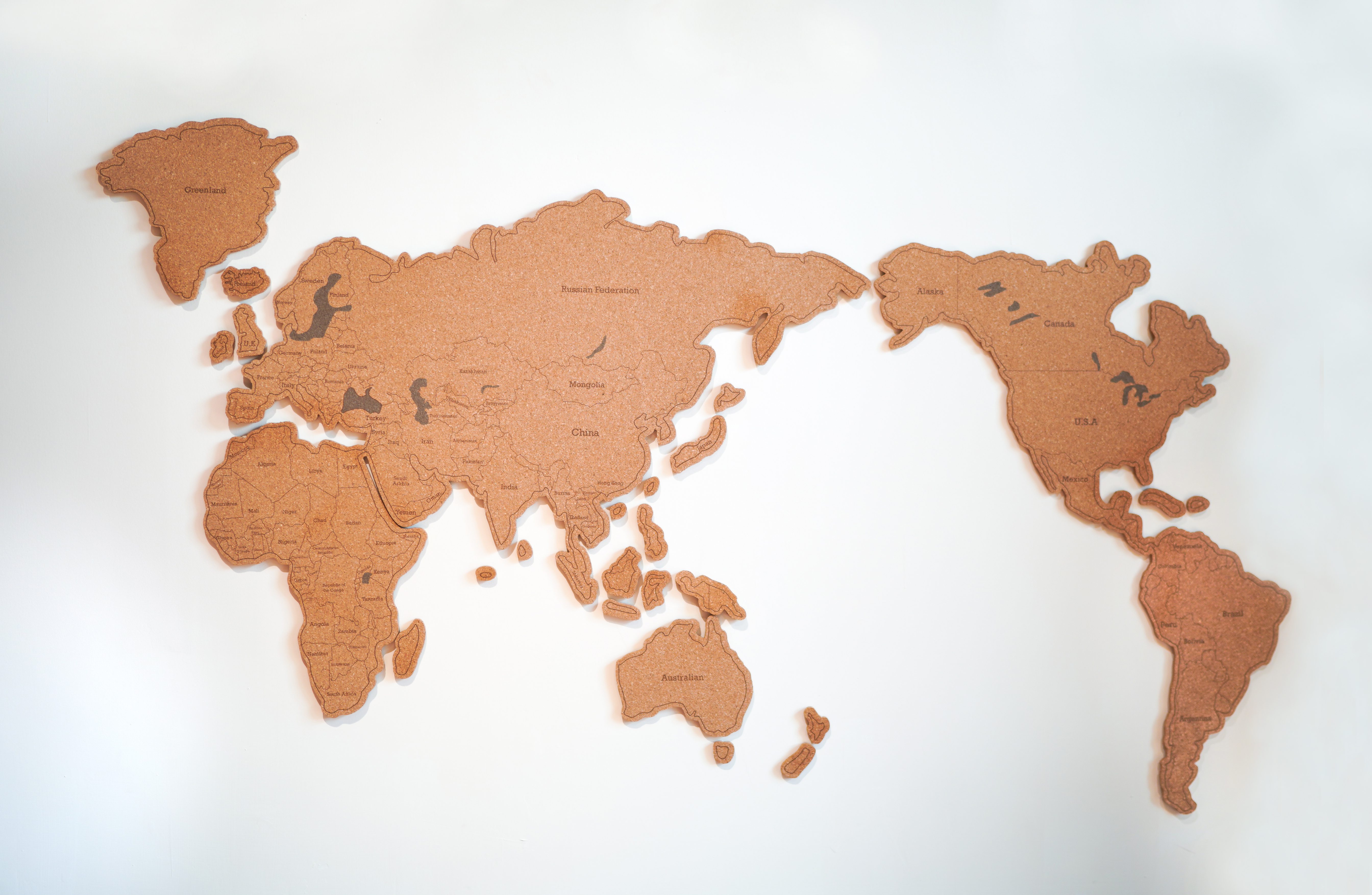 【Just Like Us】大尺寸水松板世界地圖