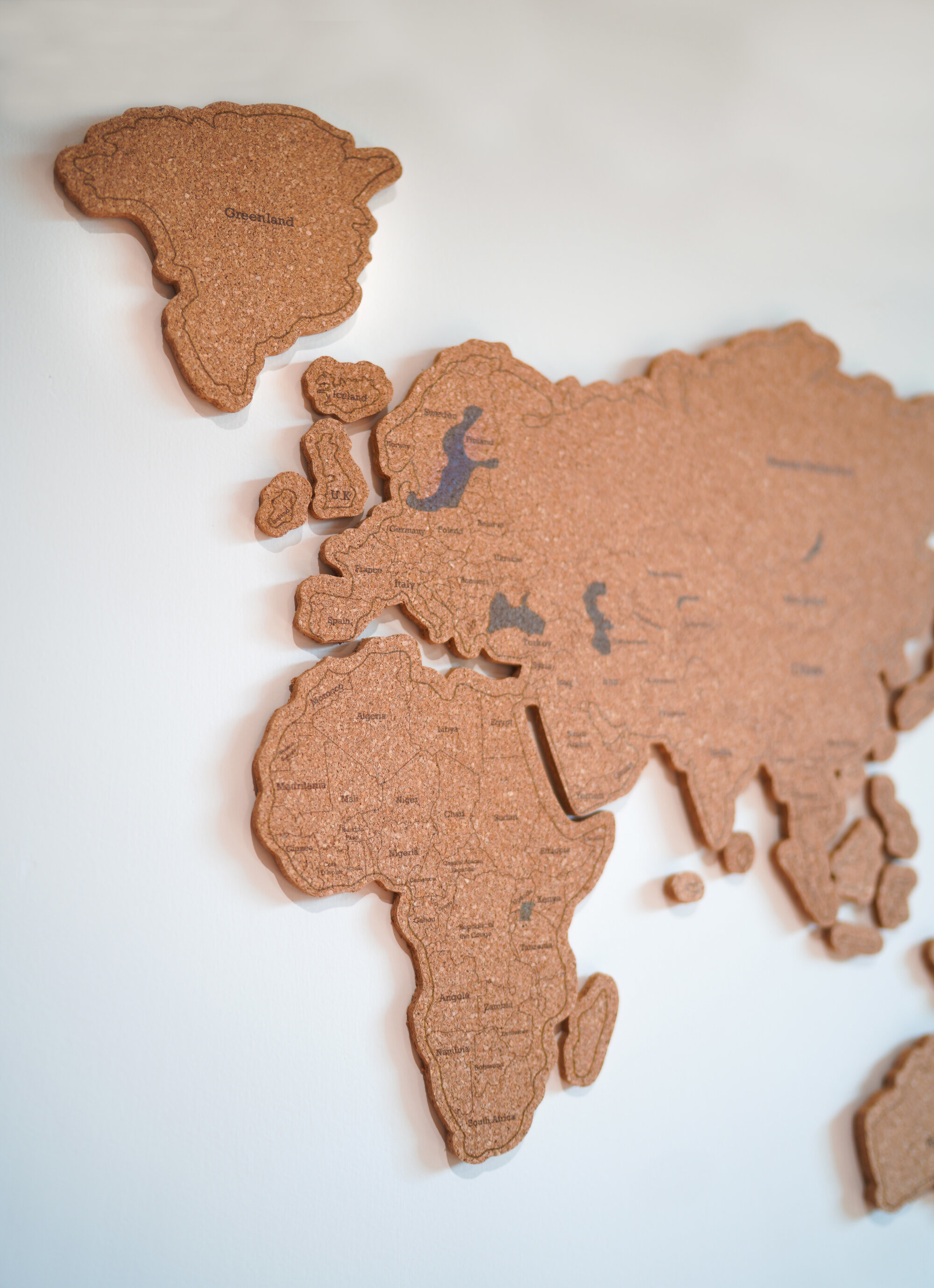 【Just Like Us】小尺寸水松板世界地圖