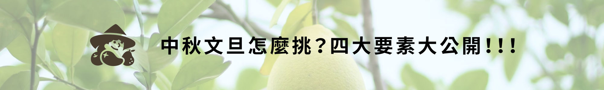 2023中秋禮-文旦禮盒-三小市集