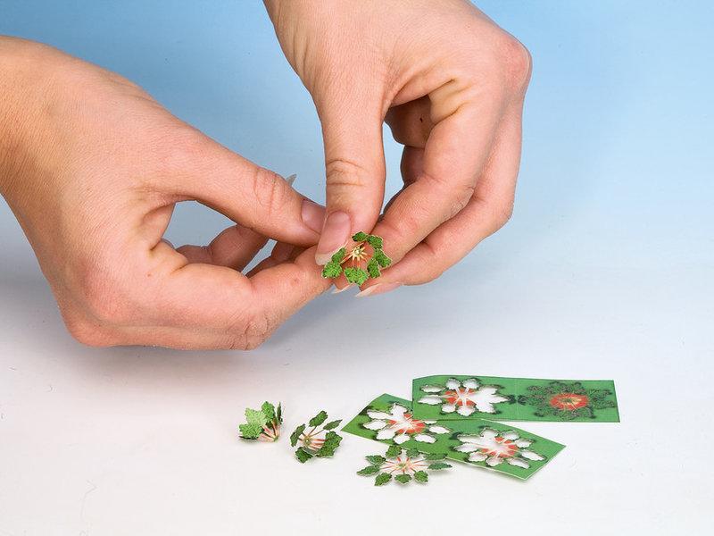 Noch 14108 HO規 Rhubarb 大黃