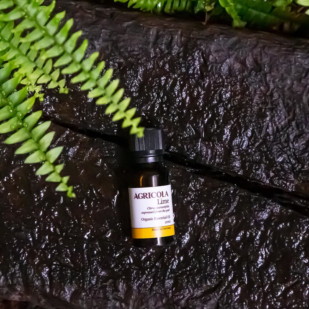 有機萊姆精油-20ml